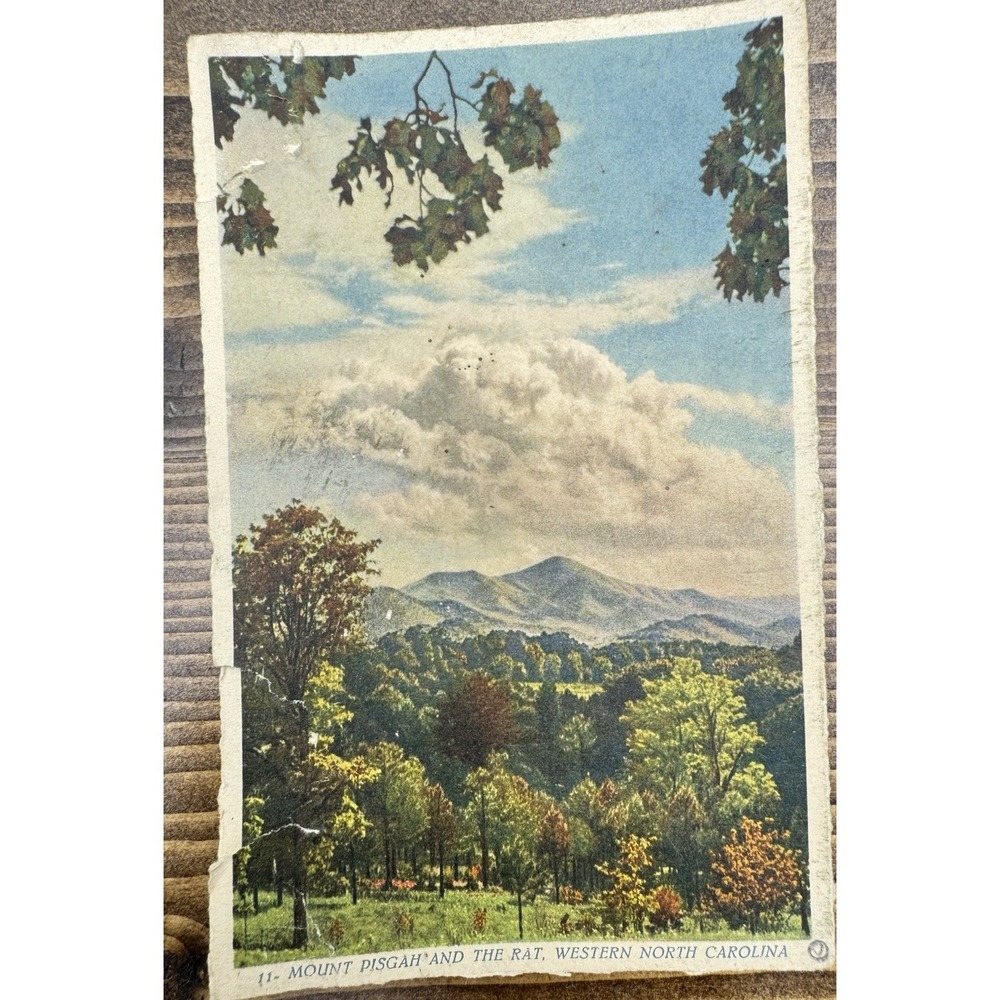 Vintage Swiss Printed Linen Postcard Mount Pisgah The Rat Western North Carolina